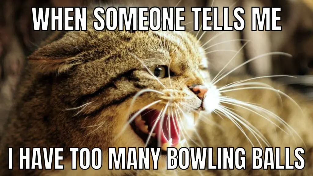 Bowling meme